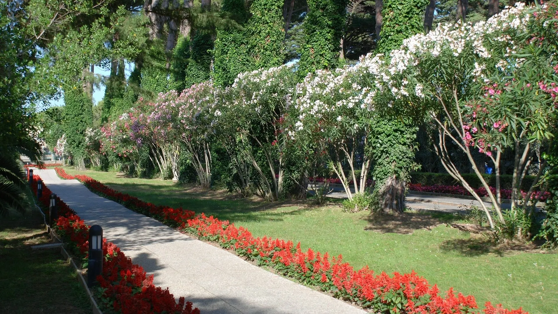 Park Hotel Marinetta - Beach & Spa Marina Di Bibbona 4*,  Italie
